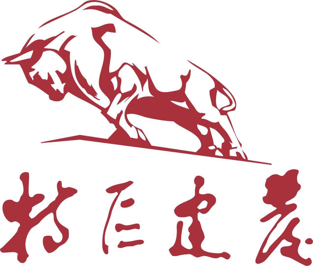 深圳市特區(qū)建發(fā)投資發(fā)展有限公司